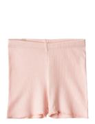 Wheat Rib Shorts Sine Rosa