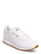 Reebok Classics Classic Leather Vit