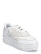 Reebok Classics Club C Extra Vit