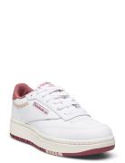 Reebok Classics Club C Double Vit