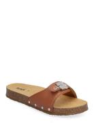 Scholl Sl Pescura Margot Leather Brun