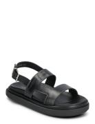 Lorelei Tan Leather Sandals Platta Sandaler Black ALOHAS