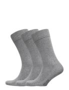 True Ankle Sock 3-Pack Underwear Socks Regular Socks Grey Amanda Chris...