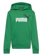 PUMA Ess+ 2 Col Big Logo Hoodie Fl B Grön