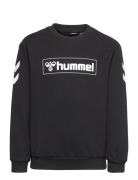 Hmlbox Sweatshirt Sport Sweat-shirts & Hoodies Sweat-shirts Black Humm...