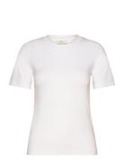 Basic Original Tee Tops T-shirts & Tops Short-sleeved White Gina Trico...