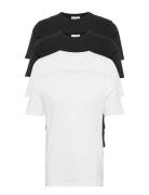 4Pk Basic Tee S/S Tops T-shirts Short-sleeved Lindbergh