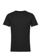 Crew Neck Regular Tops T-shirts Short-sleeved Black Bread & Boxers
