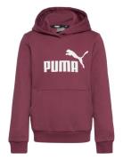 PUMA Ess Logo Hoodie Fl G Burgundy