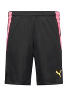 PUMA Teamliga Training Shorts 2 Svart