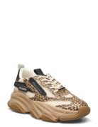 Possession-E Sneaker Låga Sneakers Beige Steve Madden