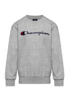Crewneck Sweatshirt Sport Sweat-shirts & Hoodies Sweat-shirts Grey Cha...