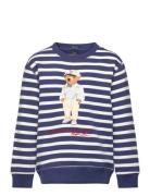 Striped Polo Bear Fleece Sweatshirt Tops Sweat-shirts & Hoodies Sweat-...