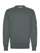 Badge Crew Neck Tops Sweat-shirts & Hoodies Sweat-shirts Grey Calvin K...