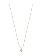 Amore Necklace Accessories Jewellery Necklaces Chain Necklaces Gold En...