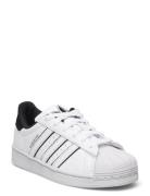Superstar C Låga Sneakers White Adidas Originals