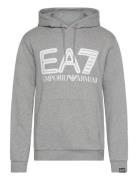 EA7 Sweatshirts Grå