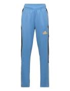 Adidas Sportswear J Np Tiro Pant Blå