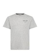 Graphic Script Relaxed T-Shirt Tops T-shirts Short-sleeved Grey GANT
