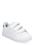 Advantage Base 2.0 Cf C Låga Sneakers White Adidas Sportswear