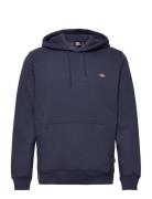 Oakport Hoodie Designers Sweat-shirts & Hoodies Hoodies Navy Dickies