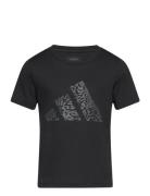 Train Girls Aop Tops T-shirts Short-sleeved Black Adidas Sportswear