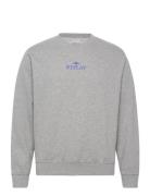 Jumper Regular Tops Sweat-shirts & Hoodies Sweat-shirts Grey Replay