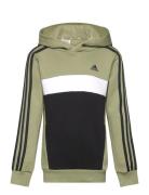 Adidas Sportswear J 3S Tib Fl Hd Khaki Green