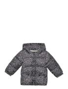 Printed Quilted Coat Fodrad Jacka Black Mango