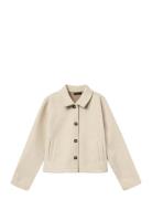 Nlflove Ls Short Jacket Tunnjacka Skaljacka Cream LMTD