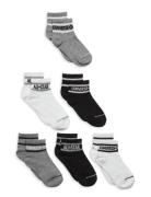 Converse 6W-6Pk Crew Sock Svart