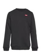 Lvb Mini Logo Crewneck Sweatsh / Lvb Mini Logo Crewneck Swea Tops Swea...