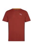 PUMA Run Favorite Velocity Tee Burgundy