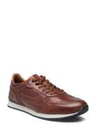 Editta Låga Sneakers Brown Lloyd