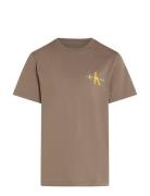 Calvin Klein Chest Monologo Ss T-Shirt Brun