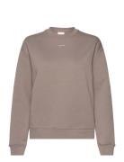 Calvin Klein Nano Logo Crew Neck Sweatshirt Beige