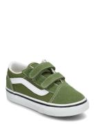 Old Skool V Låga Sneakers Green VANS