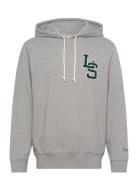 LEVI´S Men Standard Graphic Hoodie Ls Let Grå