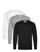 Lindbergh 3Pk Basic Tee L/S Svart