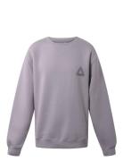 Crew Neck W/Back Print Tops Sweat-shirts & Hoodies Sweat-shirts Grey H...