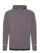 EA7 Sweatshirt Brun