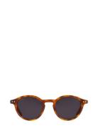 Corlin Eyewear Lia Havana Black Svart