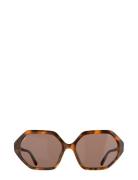 Corlin Eyewear Grace Tortoise Brown Brun