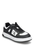 Calvin Klein Calvin Klein Jeans Low-Cut Lace-Up Sneaker Svart