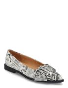 Grail Ballerina Ballerinaskor Ballerinas Multi/patterned Steve Madden