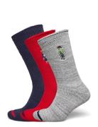 Polo Ralph Lauren Underwear Polo Bear Roll-Top 3-Sock Gift Set Multi/p...