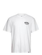 Dickies Dickies Companion Tee Ss Vit