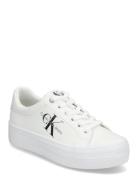 Calvin Klein Vulc Flatform Laceup Low Lth Vit