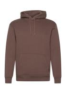 Hollister Hco. Guys Sweatshirts Brun