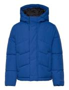 Jjworld Puffer Jacket Mni Fodrad Jacka Blue Jack & J S